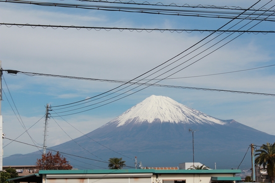 富士山もバッチリ見えます